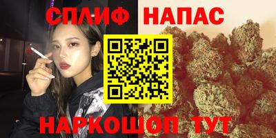 гашик Новодвинск