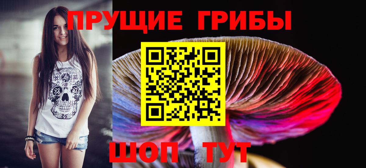 Галлюциногенные грибы Psilocybe Тобольск